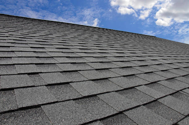 Best Roof Maintenance and Cleaning  in Richton Park, IL